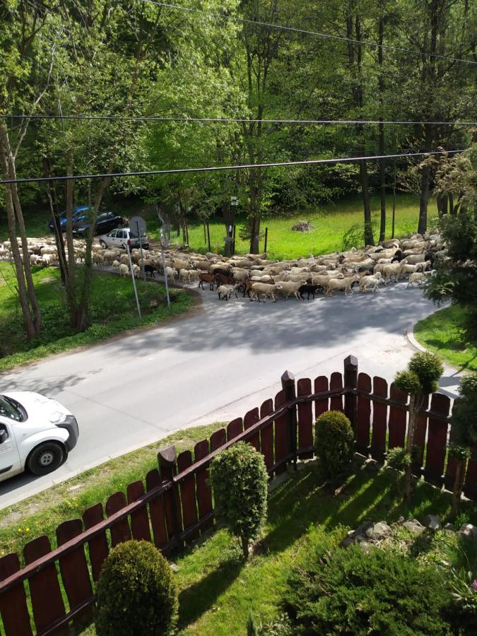 Noclegi Przy Szlaku Agroturystyka Zabnica Buitenkant foto