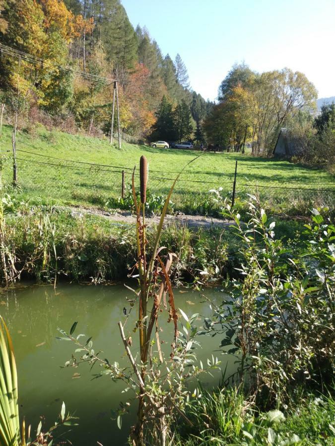 Noclegi Przy Szlaku Agroturystyka Zabnica Buitenkant foto