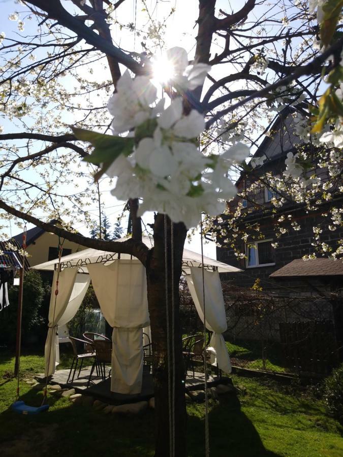 Noclegi Przy Szlaku Agroturystyka Zabnica Buitenkant foto