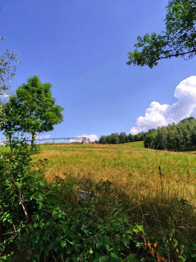 Noclegi Przy Szlaku Agroturystyka Zabnica Buitenkant foto