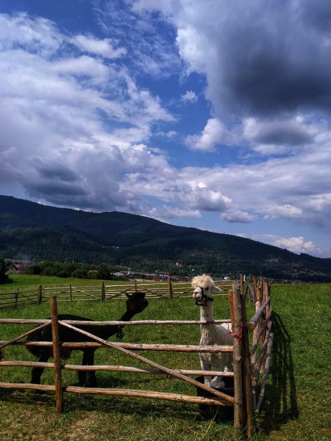 Noclegi Przy Szlaku Agroturystyka Zabnica Buitenkant foto