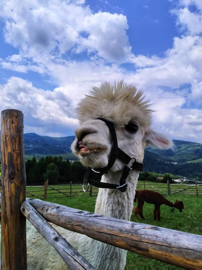 Noclegi Przy Szlaku Agroturystyka Zabnica Buitenkant foto